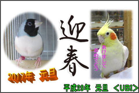 2017年年賀状