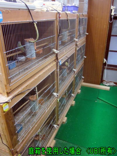 飼育室の様子　庭箱
