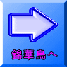 キンカチョウへ 