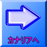 カナリアへ 