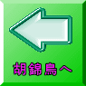 コキンチョウへ
