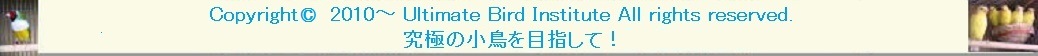 フッターイメージ