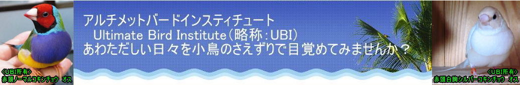 ヘッダーイメージ