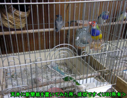ちょっとした工夫で成功
