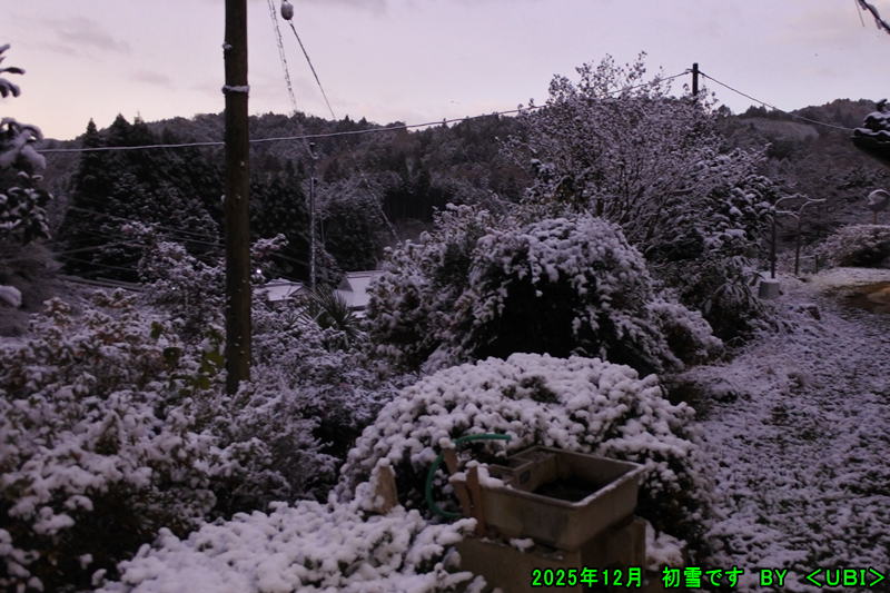 雪化粧
