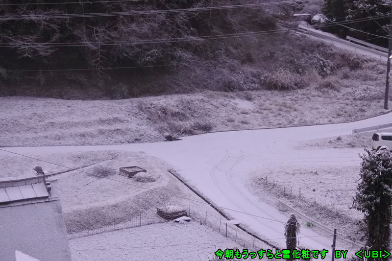 2026年2月3日うっすらと雪化粧です