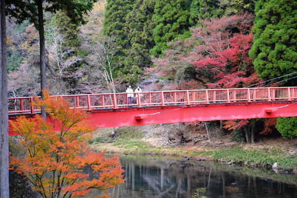 紅葉