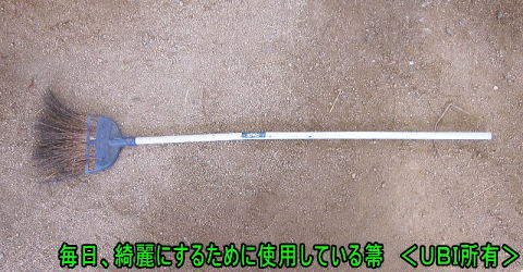 毎日使用している箒